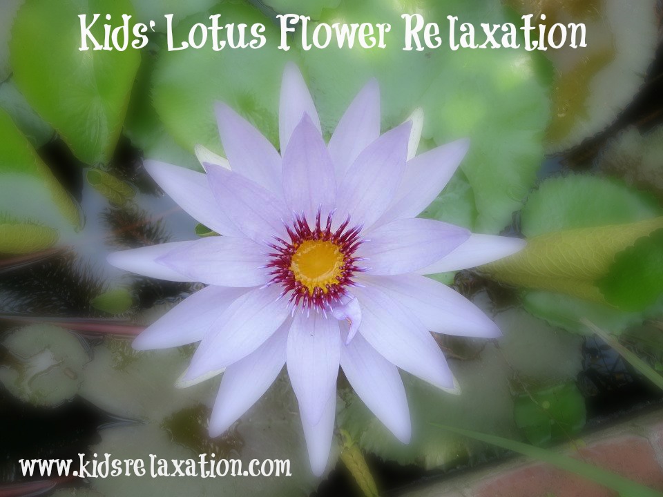 Blooming From Mud:  Kids’ Lotus Flower Relaxation